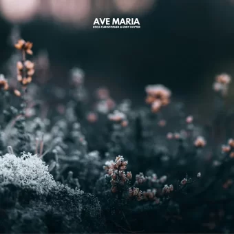 https://bluewolf-reviews.com/music/ave-maria-single/