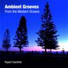 https://bluewolf-reviews.com/music/ambient-grooves-from-the-western-ocean/
