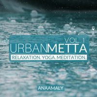 https://bluewolf-reviews.com/music/urban-metta-vol-1/