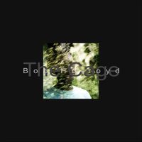 https://bluewolf-reviews.com/music/the-cage/