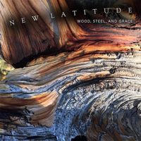 https://bluewolf-reviews.com/music/wood-steel-and-grace/