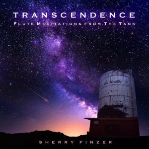 https://bluewolf-reviews.com/music/transcendence/